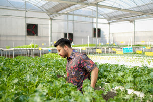 Ardito Hartawan Hydrofarm Indonesia EatMeBrand Suka Organic Magani Dotted Flowers